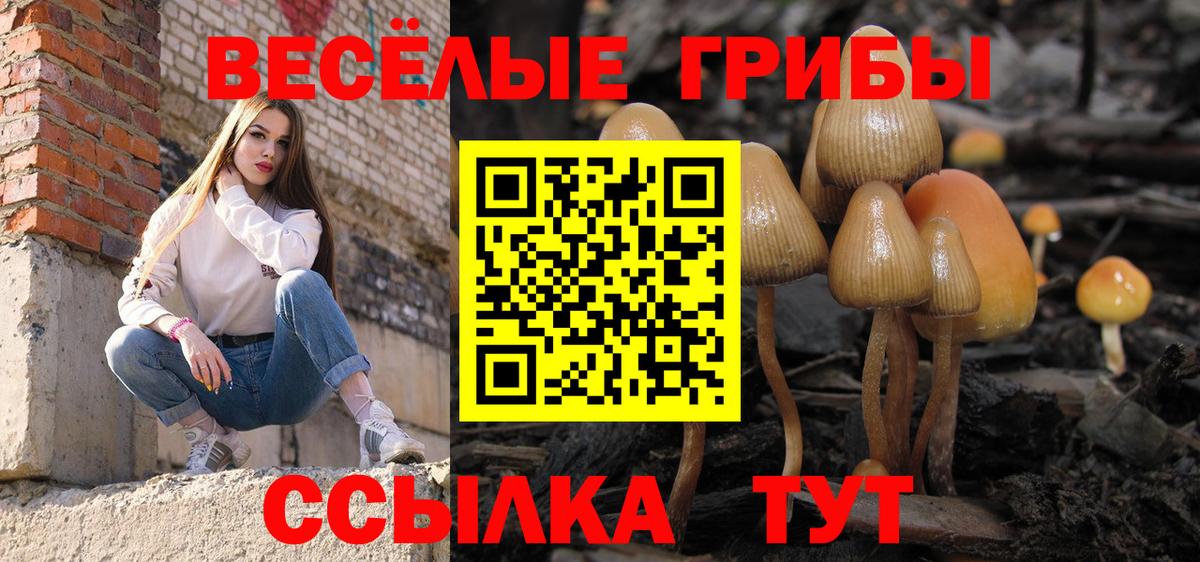 Галлюциногенные грибы MAGIC MUSHROOMS Альметьевск